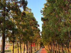 -上海长兴岛郊野公园