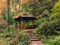 -青城山
