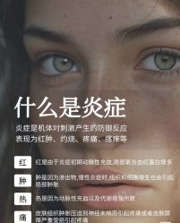 点击看大图 -玛莲朵·海菲秀冰珀科