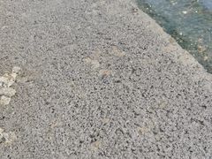 -东戴河风景区