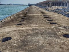 -东疆建设开发纪念公园