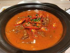 牛肉炖粉条-石头咕(葵蓬店)