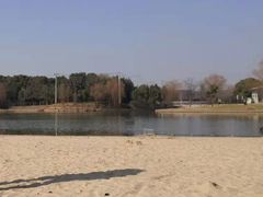 -上海佘山世茂艾美酒店