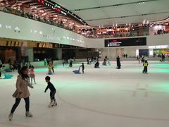 -TheRink大零溜冰场(IFS国金中心店)
