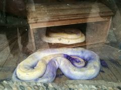 -南昌动物园