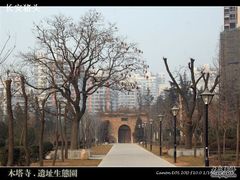 -木塔寺遗址生态公园