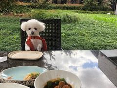 -品悦(崇明凯悦店)