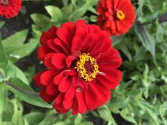 -昆山城市生态森林公园