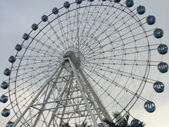 -秦皇岛乐岛海洋王国