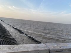 -上海吴淞炮台湾国家湿地公园