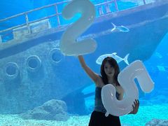 -福州罗源湾海洋世界旅游区