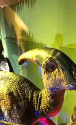 -恐龙探索乐园(磁器口店)