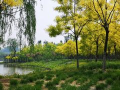 -东郊湿地公园