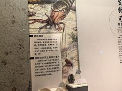 -贵州省地质博物馆