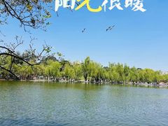 -翠湖公园