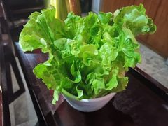 生菜-麻辣英雄重庆火锅(常平店)