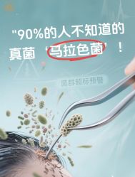 -Bollins波林丝•专研护发中心