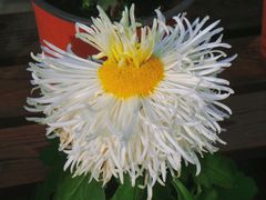 -北京植物园-展览温室