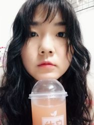 -大象造型