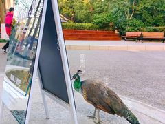 -J Create城市露营咖啡·简餐·宠物(上海动物园店)