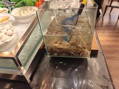 水产区-步步高福朋喜来登·宜客乐西餐厅