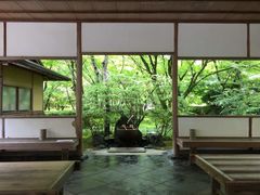 -西芳寺(苔寺)