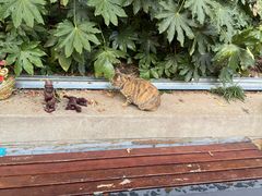 -狼山风景名胜区