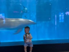 -福州罗源湾海洋世界旅游区