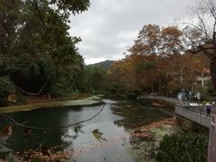 -阿哈湖国家湿地公园