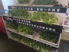 -卫鼎轩·家宴(水上公园店)