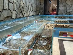 -蓝珊甄选海鲜自助·火锅大排档(近阿那亚店)