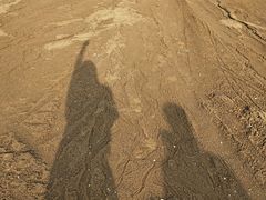 -百美汇影城(LUXE嘉里中心店)