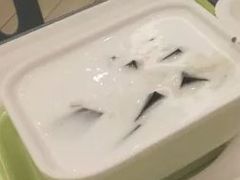 椰汁西米凉粉-满记甜品(巴黎春天宝山店)