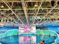 -海合安青岛极地海洋公园