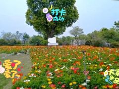 -鹅湖玫瑰文化园