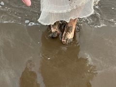 -珠海金沙滩