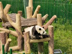 -沈阳森林动物园