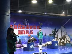 -重庆欢乐海底世界
