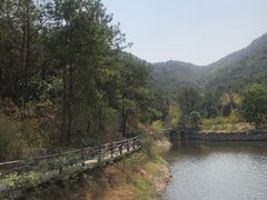 -黄陂区野村谷景区