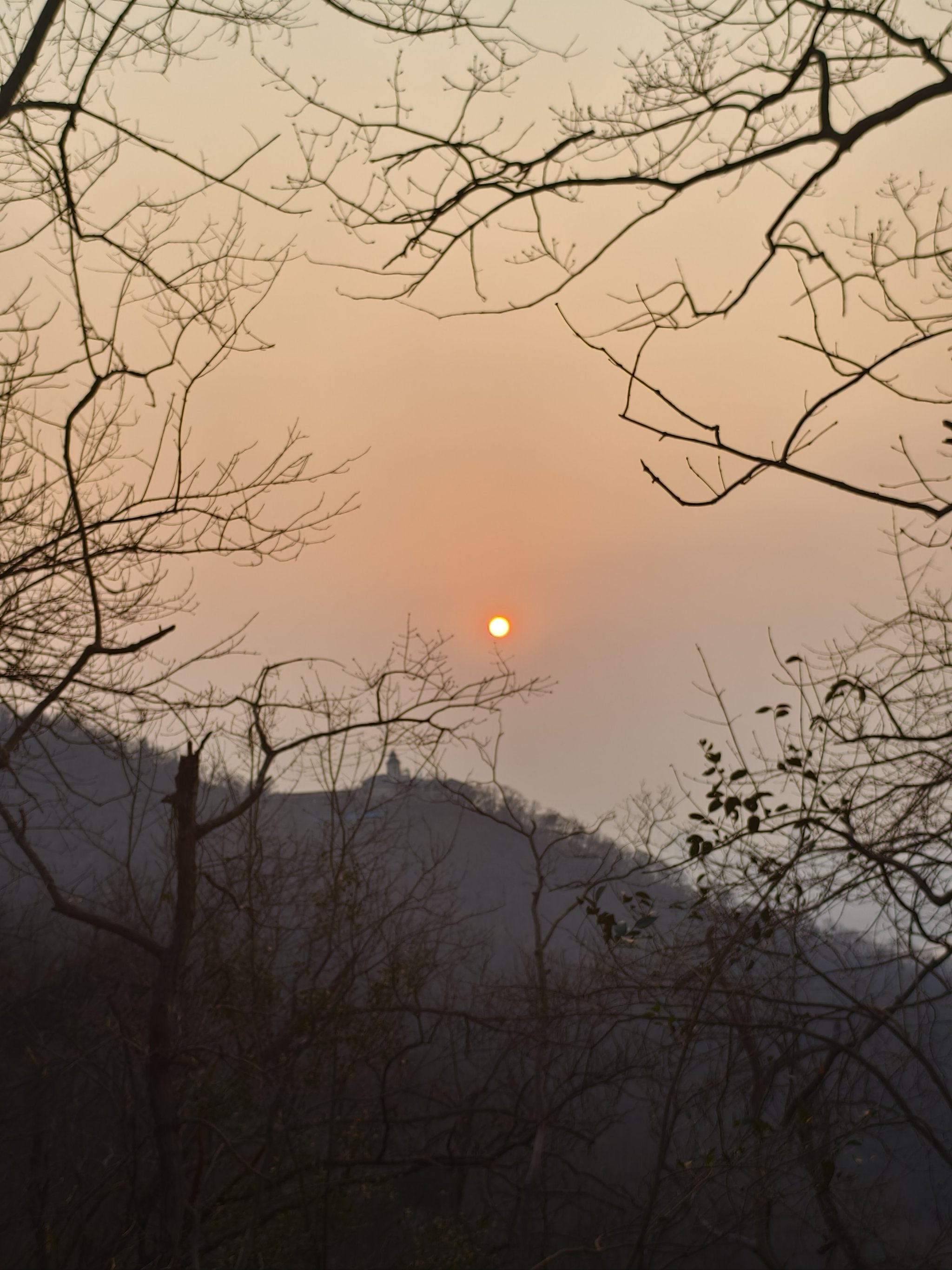 南京紫金山登山图片