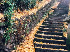 -藏龙百瀑风景区