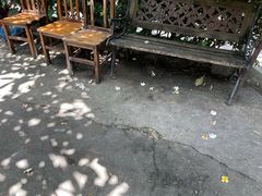 门外小院-和记菜馆