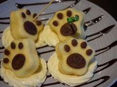 -喵屿·大理花园猫咖