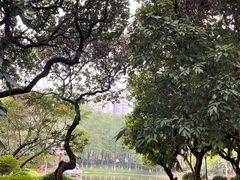 -黄埔荔枝公园