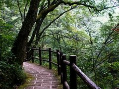 -宝天曼峡谷漂流