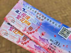 -顾村公园