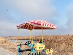 -盐城丹顶鹤湿地生态旅游区