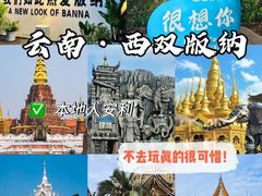 -西双版纳原始森林公园
