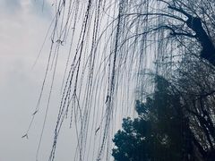 -西湖外事游船(湖滨二公园外事游船码头)