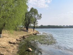-丁香湖公园